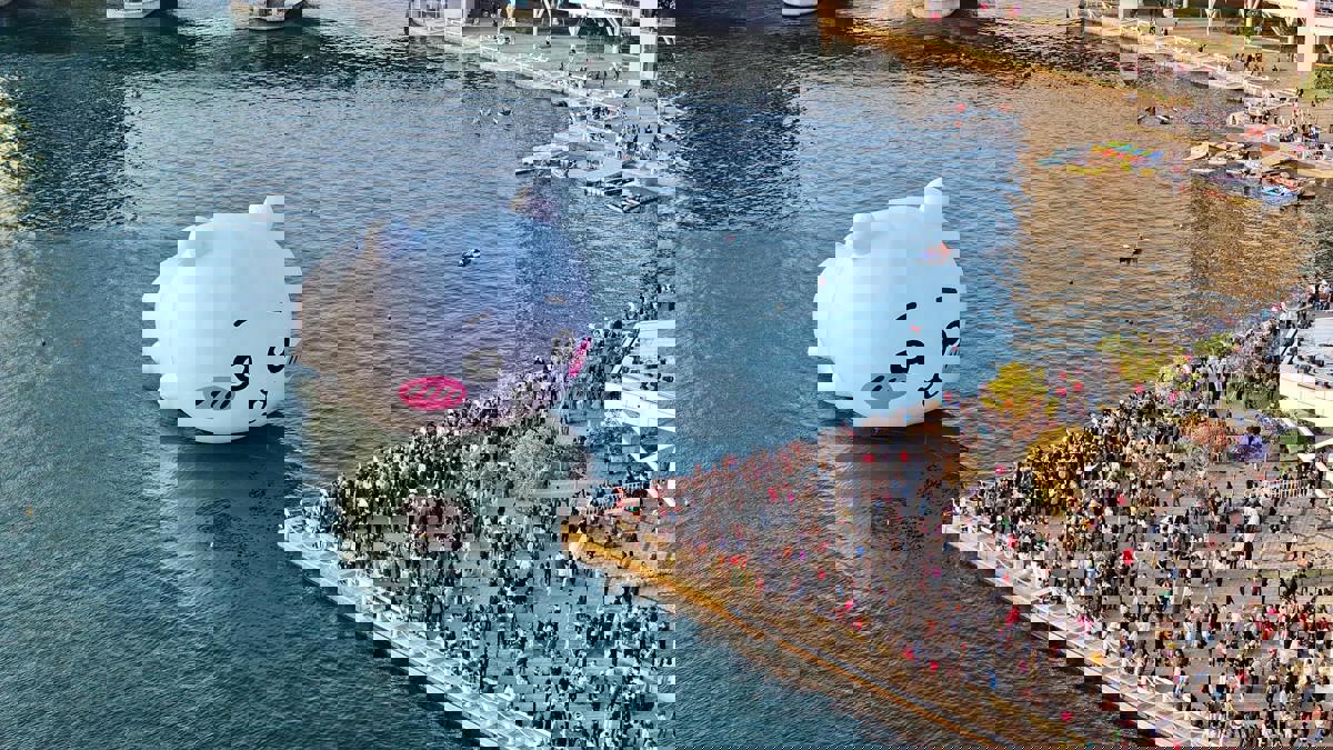 Art Festival Draws Record Crowds With Interactive Installations